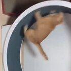 that's enough for today