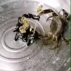 Im pretty sure this belongs here