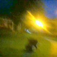 BJJ practitioner triangle chokes guy who had a big size advantage