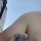 Duck bit his nipple