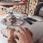 Wanna tell me why you stopped, human?