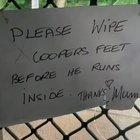 This pupper knows the drill when it’s raining ️