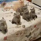 One big happy family ♥...