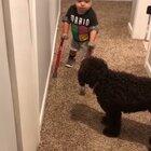 Little boy proudly shares his accomplishment with his dog