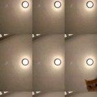 Cat concert is nom nom.