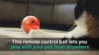 This remote control ball for your pets