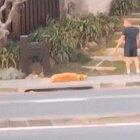 “Leave me... I can’t go on.”