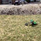 Watch how momma does it