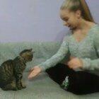 ¨Ooh, I Know this one!¨