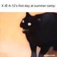 Summer camp is about to get interesting