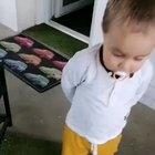 Крольчатина