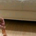 Take some ham buddie