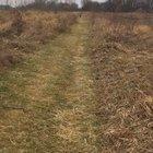 Does this high tier yeet count as abrupt chaos?