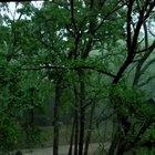 A storm that rolled through Oklahoma last night.