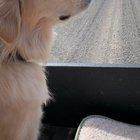 Enjoying the nice weather