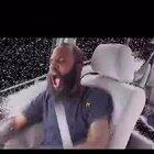 Mc ride trapped in a car with several bees and gets stung
