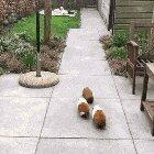 Potential hostile spotted at 11 o'clock. Send recon squad to observe. Alpha team out.