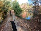 Fall trail ride in Georgia