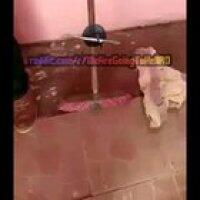 Cand te afla tac-to ca te-ai facut rrodditor lUSR-ist