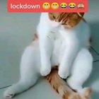 My mom sent me this on Facebook