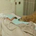 HArdEnEd CRiMinAL CAuGHt in THe ACt