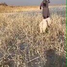 This guy is so fucking cool!