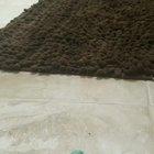 When that caterpillar was supposed to be yours..