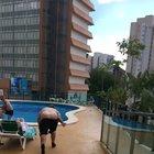 Jumping into the pool be like