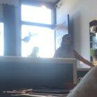 LA patron goes bezerk at record of her actions.