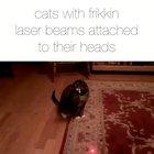 It could go on all day