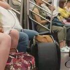 Good boy snuck onto subway