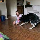 Early morning tug of war