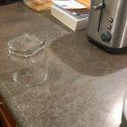 I caught a spider in my kitchen