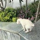 Who said only kids can enjoy the slides.