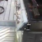 What a great time to do BBQ