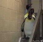 Cuando entras a tu clase de universidad después de pasarte por el parquesito