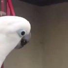 SCREW YOUR SLEEP CRAIG.