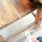 I&rsquo;m sorry, what?!