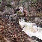 Idiot Nearly Drowning