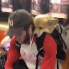 Doggo on the underground