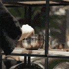 A two sided piece of artwork