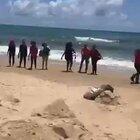 Óleo no Nordeste: tropas da Marinha e Exército chegam para ajudar a limpar praia em Pernambuco que já estava sendo limpa por voluntários e pedem que voluntários saiam da praia, para que a imprensa possa registrar apenas os soldados limpando