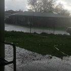 Suddenly started raining, with a little hail