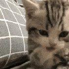 Are you... are you filming me?