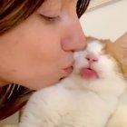 Cat.exe has stopped working 😲