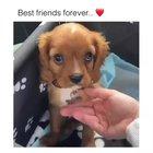 Shamelessly Stolen...Best friends