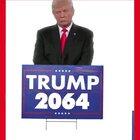 Donald trump posted this on his Instagram account