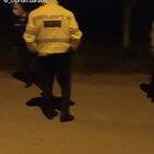 Sara bună, fraților !