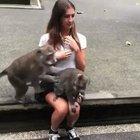 Feeling a little embarrassed