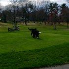 The moment Winni sees her brother get out of the car